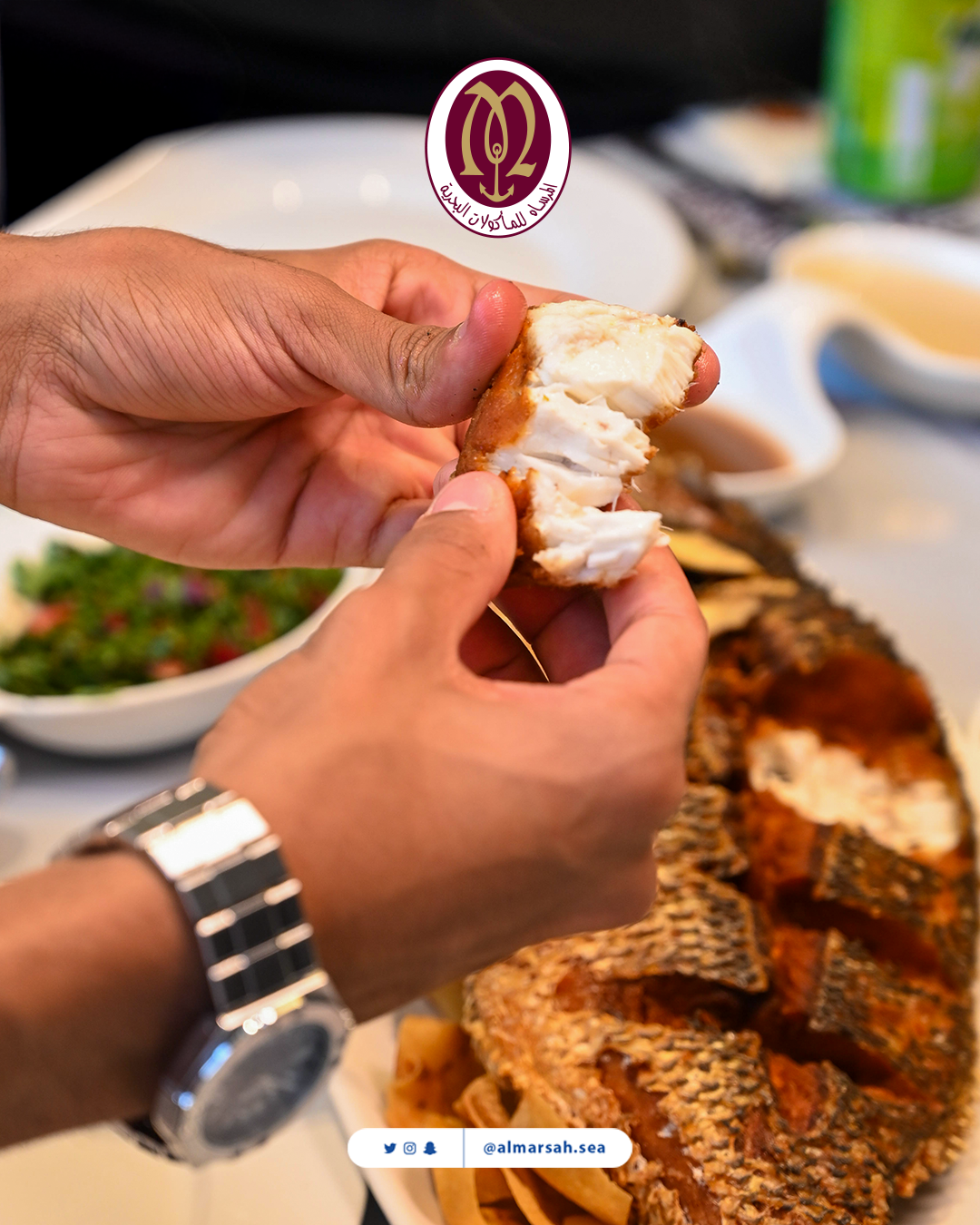 Cups and Sea with Al Marsah collaboration